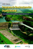 PRO-Furnas: Programa de Reestructuración Organizacional: Presentación del caso de Furnas Centrais Eletricas S.A.