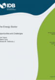 The Energy Sector: Opportunities and Challenges