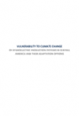 Vulnerability to Climate Change of Hydroelectric Production Systems in Central America and their Adaptation Options: Executive Summary